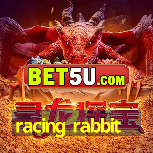 racing rabbit